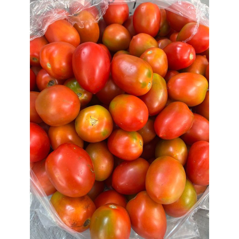 

Tomat Merah - 250 gr / 500 gr / 1000 gr