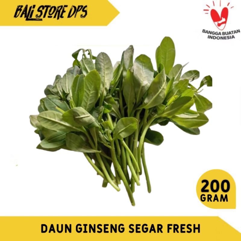 

DAUN GINSENG SEGAR GINGSENG FRESH 200 GRAM DENPASAR BALI