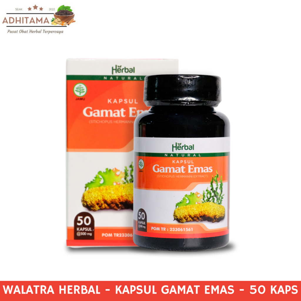 Walatra Herbal - Kapsul Gamat Emas - Ekstrak Gamat Emas