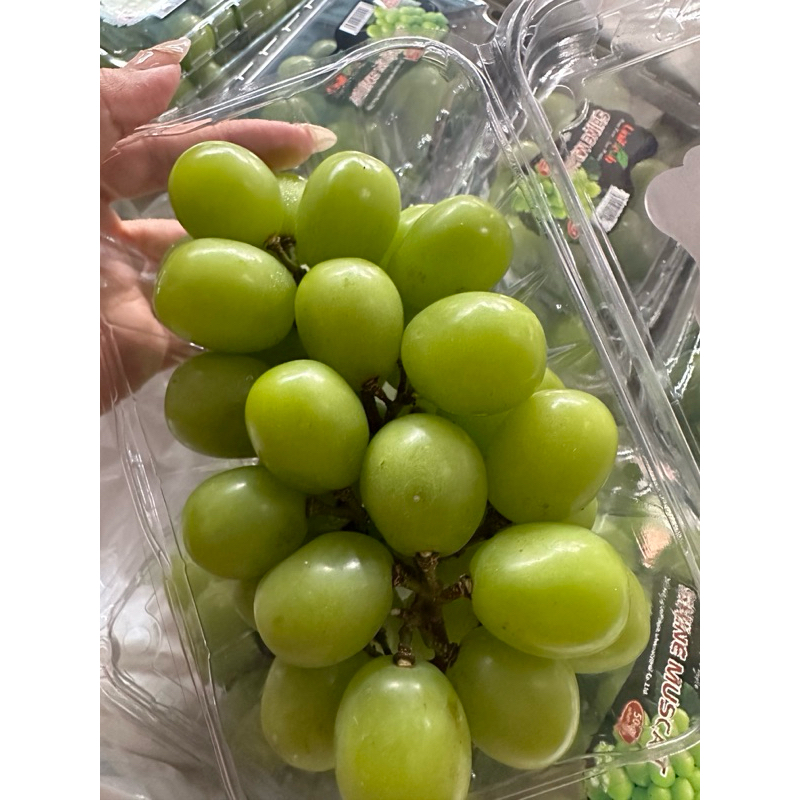 

BACA DESKRIPSI - ANGGUR MUSCAT PACK - marketkitabali