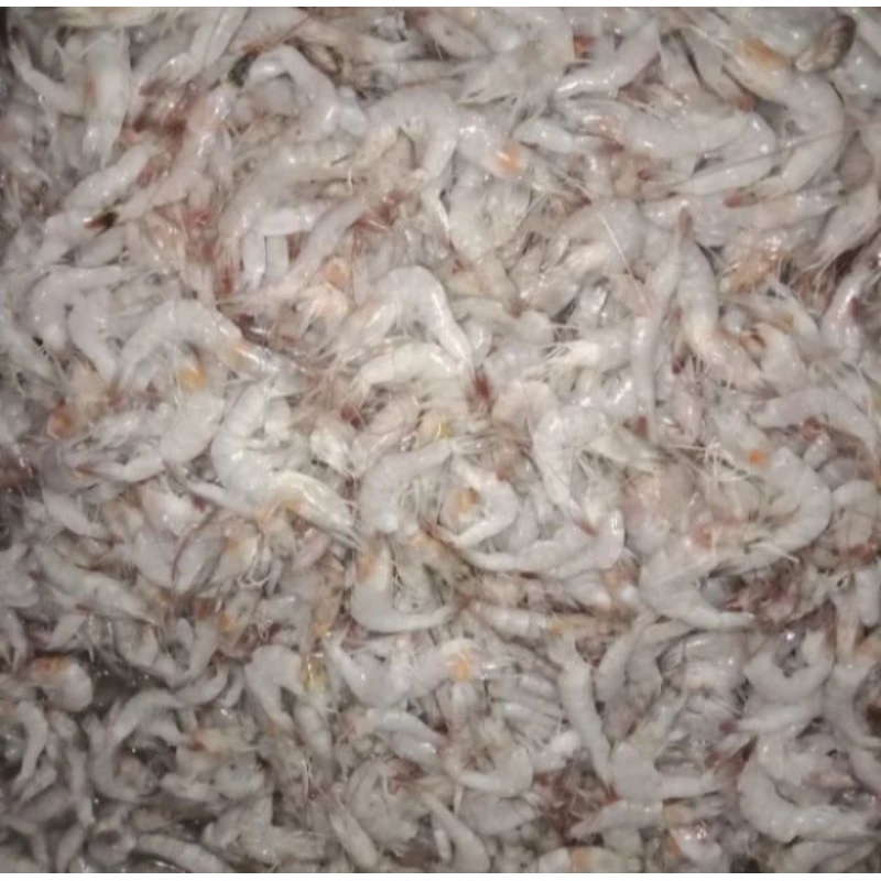 

udang peyek udang alus