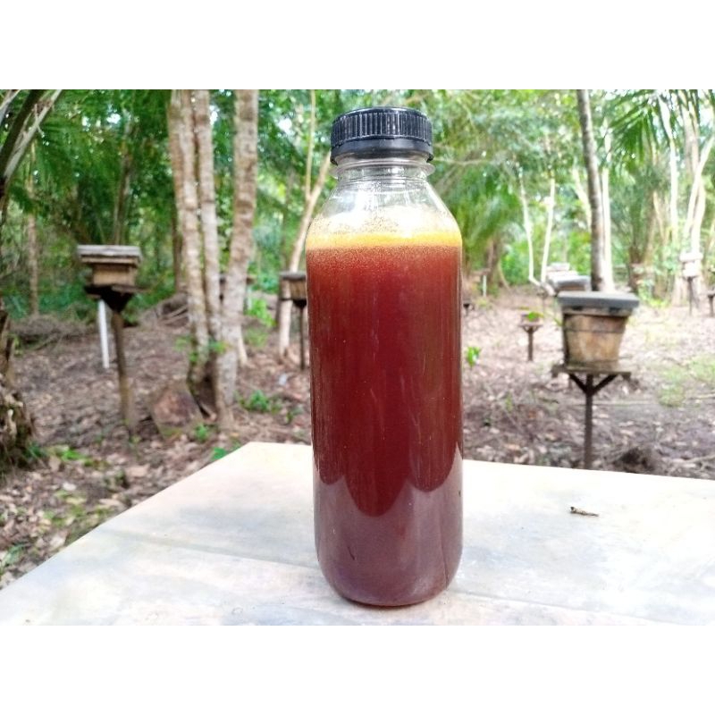 

Madu Kelulut Asli Hutan Liar Kalimantan Trigona Itama Klanceng Murni 100% 500ml