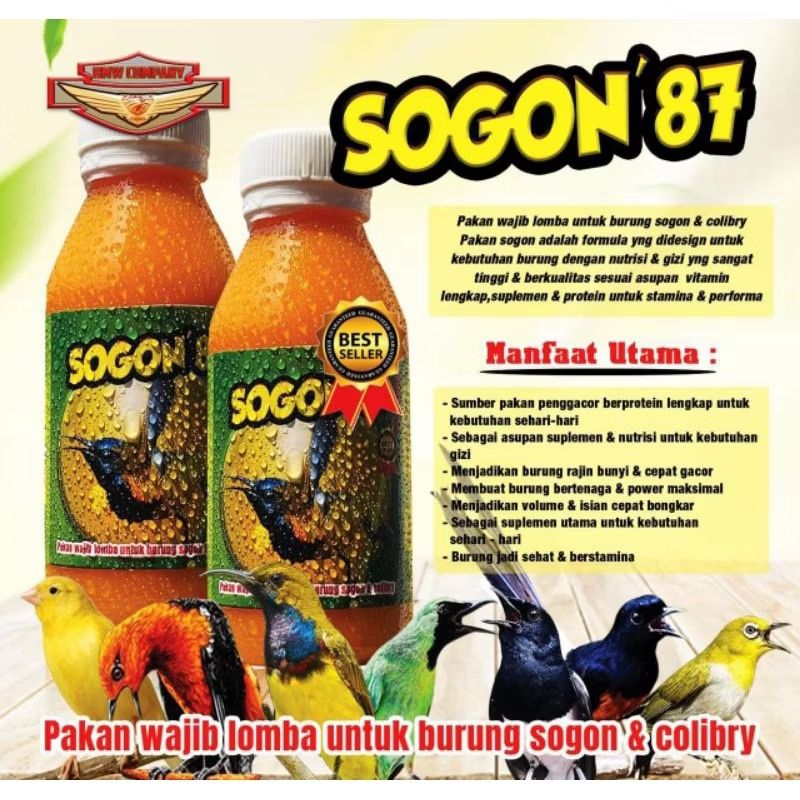 NEKTAR SOGON 87 PAKAN HARIAN LOMBA SOGON KOLIBRI