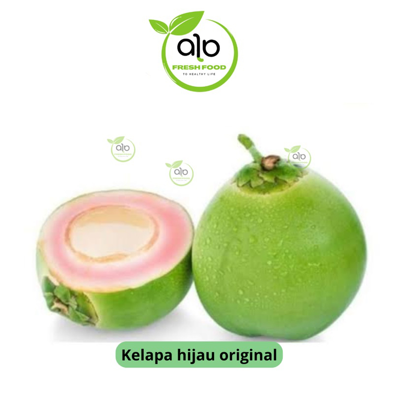 

kelapa hijau 1 buah - ALO Fresh Food