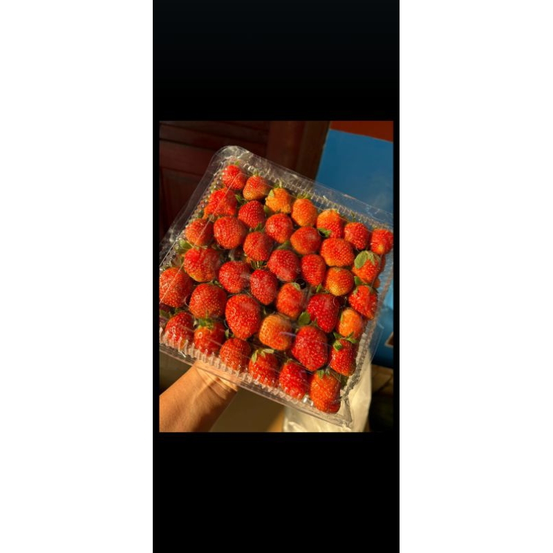

buah segar/ buah strawberry/ buah kemundung