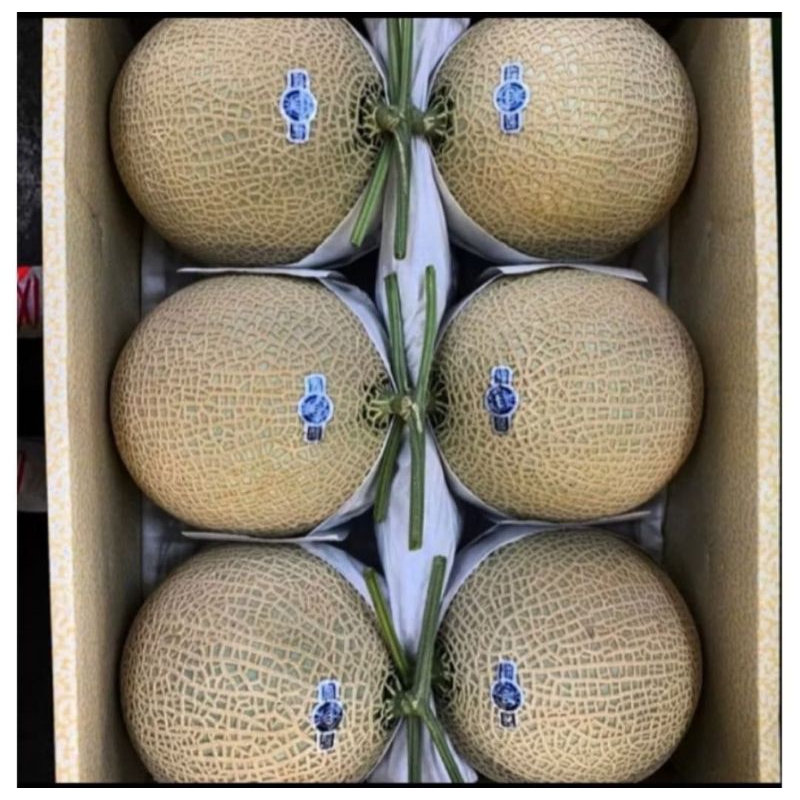 

melon Crown jepang /1buah melon Crown fruits12