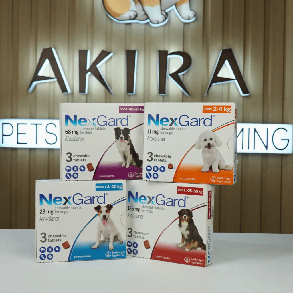 Nexgard - XL  Obat Kutu Anjing (anjing ukuran 25-50kg)