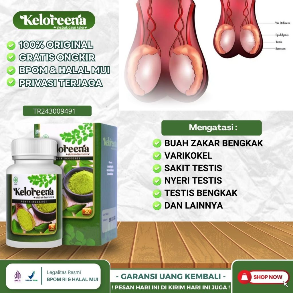 Obat Buah Zakar Bengkak, Obat Buah Zakar Bengkak Sebelah, Obat Buah Zakar Bengkak Sakit, Obat Testis