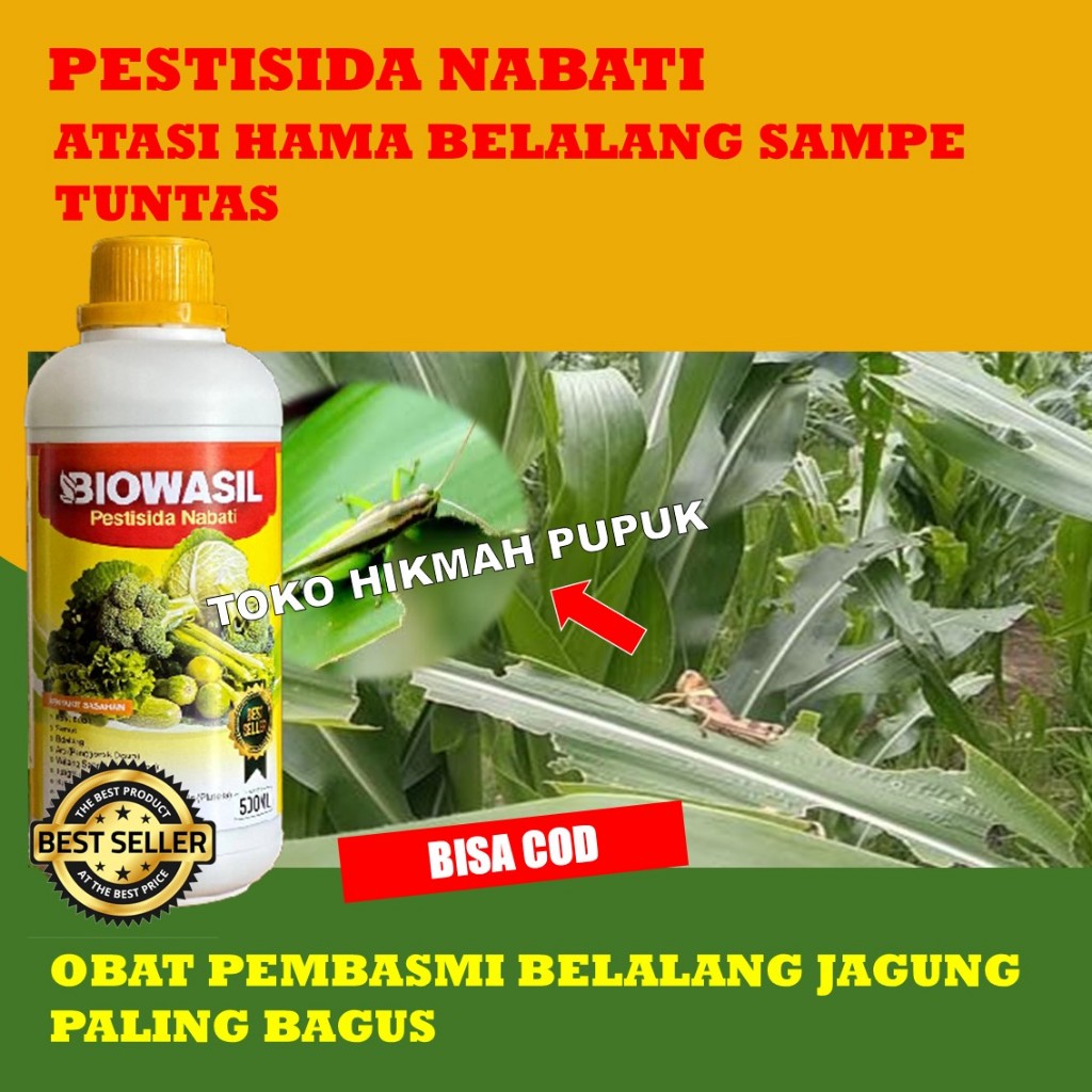 PROMO OBAT HAMA BELALANG PADA TANAMAN PALING MANJUR - OBAT PEMBASMI HAMA BELALANG DAN ULAT - OBAT HA