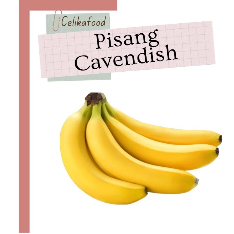 

Pisang Cavendish 1 Sisir Ambon Putih Cau Buah Fresh Banana