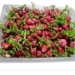 

lobak merah /red redish fresh