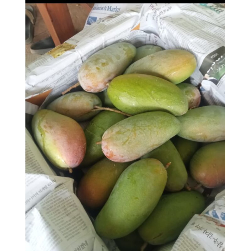 

mangga kiojai 1kg