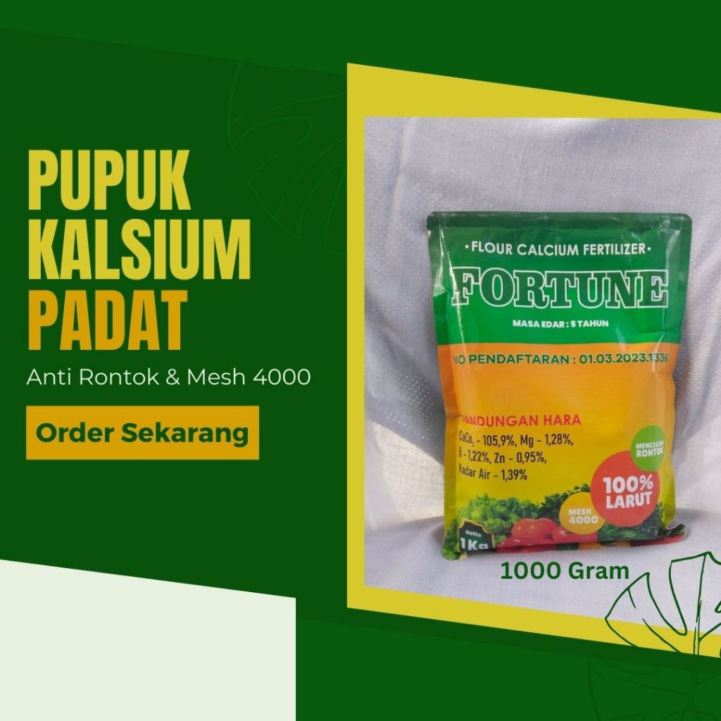 pupuk anti rontok pada tanaman cabe, pupuk anti rontok bunga dan rontok buah