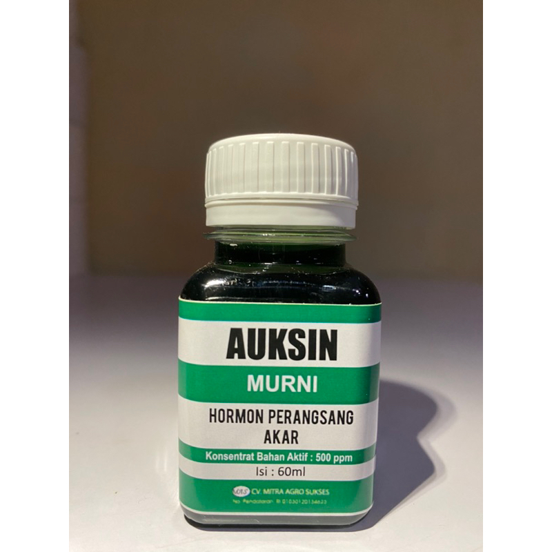 AUKSIN, GIBERELIN, SITOKININ ZAT PENGATUR TUMBUH