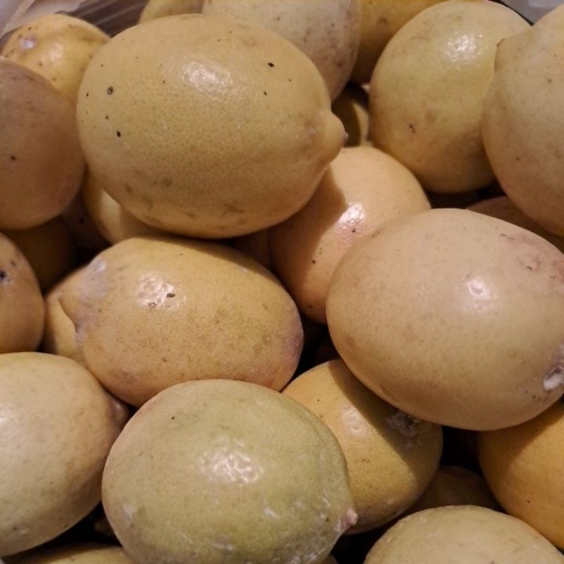 

Buah Lemon