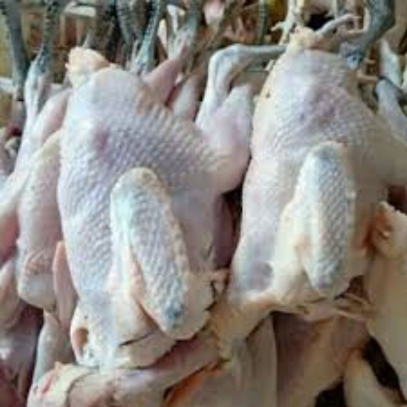 

AYAM KAMPUNG ASLI SEDANG 0.7 - 0.8 KG DAGING POTONG FROZEN BEKU FRESH UTUH
