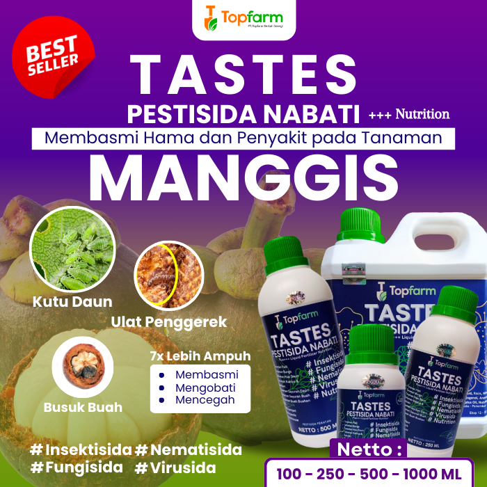 Obat Hama Pohon Manggis / Obat Ulat Buah Manggis / Obat Semprot Tanaman Pohon Manggis / Obat Lalat B