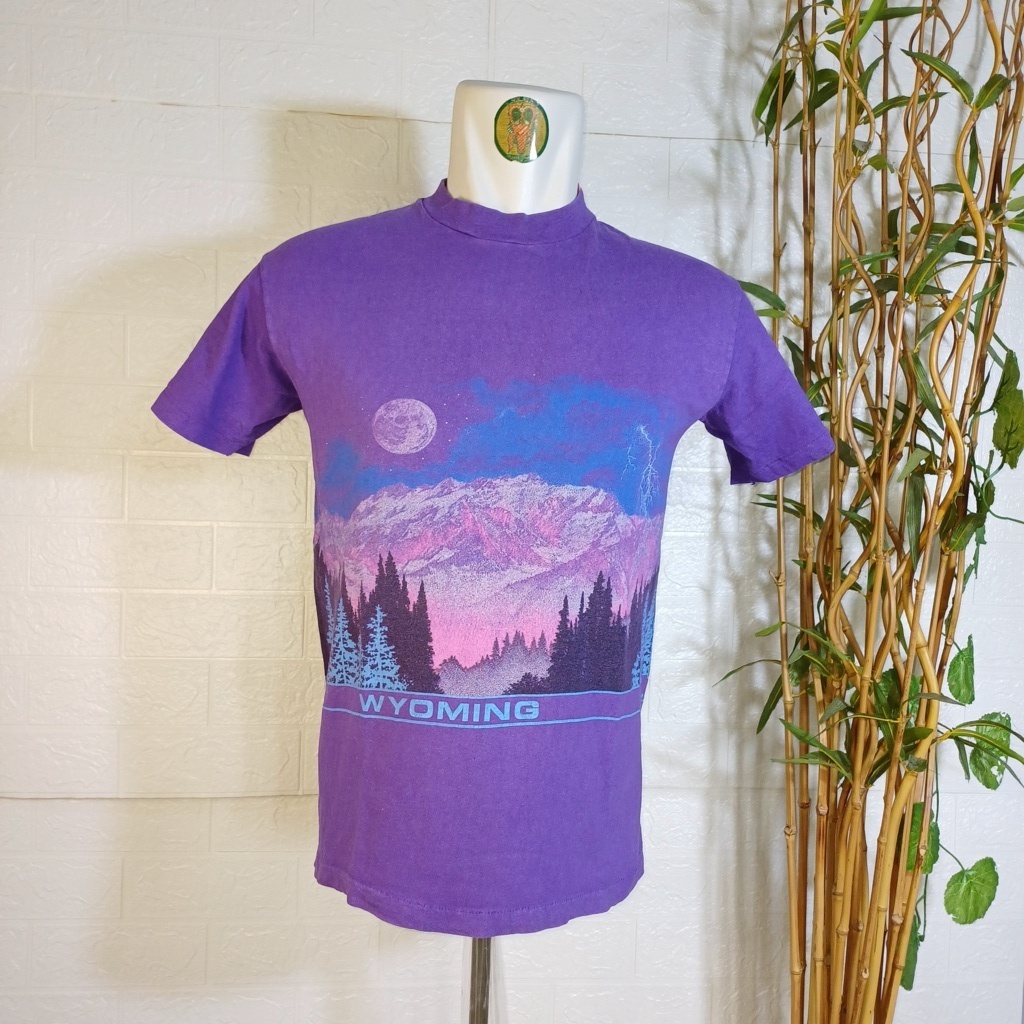 KAOS VINTAGE HANES BEEFY, FULLPRINT, SIZE M (SECOND BRANDED) UNGU, TS0491