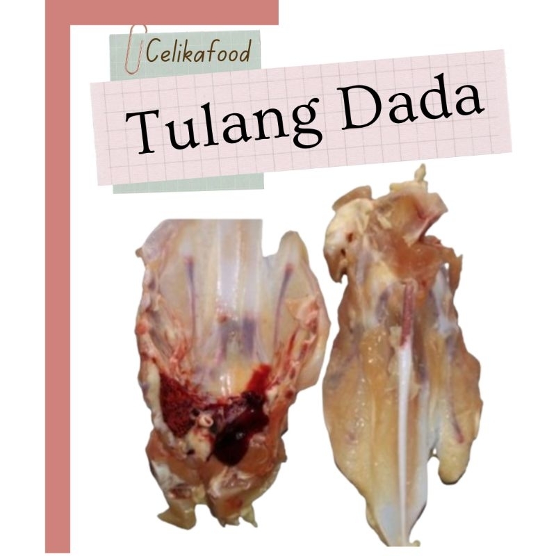 

Tulang Dada 500gr Ayam Broiler Boiler Chicken