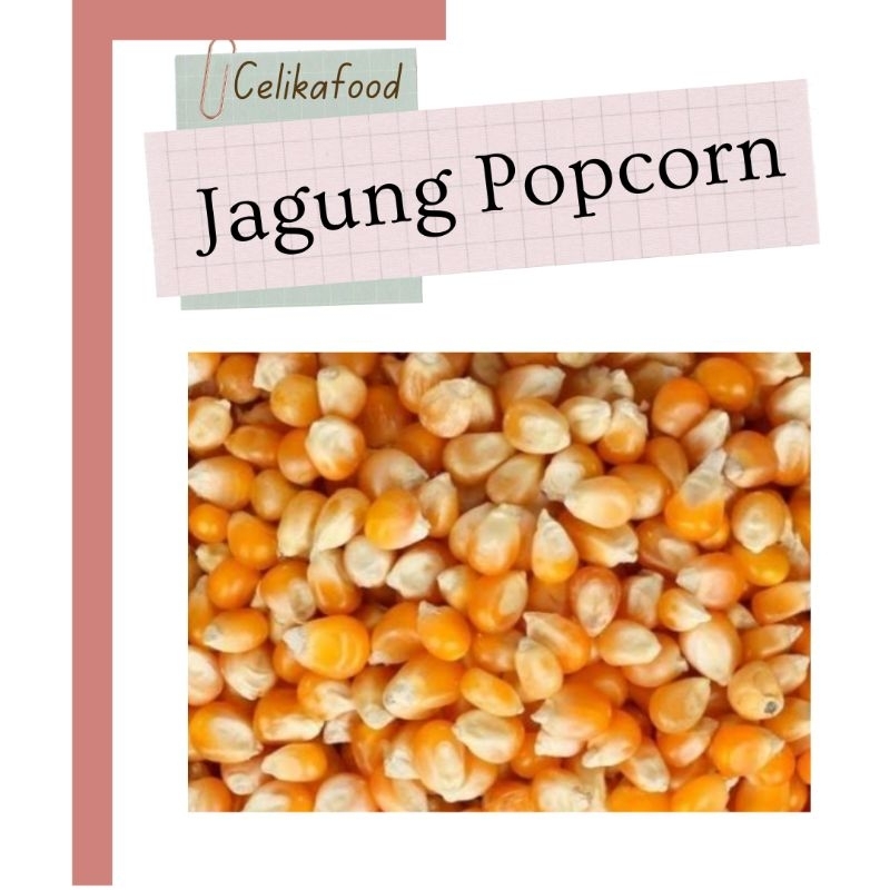 

Jagung Popcorn Mentah 250gr Jagong Pipil