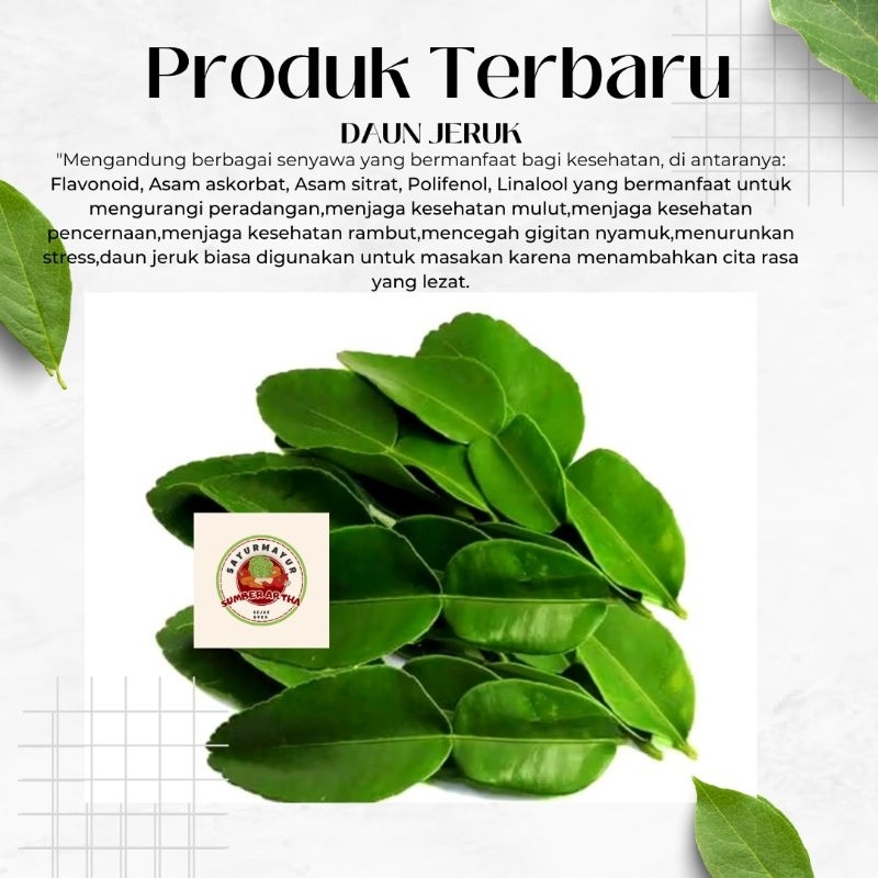 

Sayur Fresh 1Pack Daun Jeruk Segar murah fast delivery