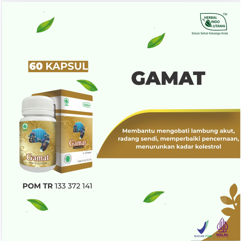 KAPSUL GAMAT GOLD Obat Herbal Asam Lambung Herbal Indo Utama