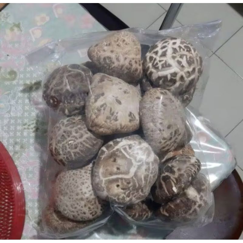 

JAMUR SHITAKE UKURAN BESAR DAGING TEBAL DAN WANGI 500GRAM