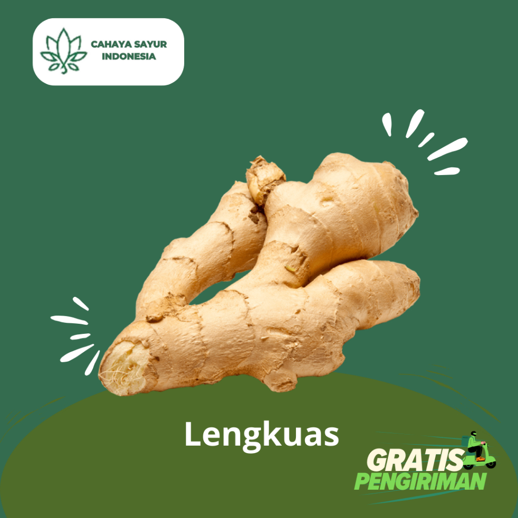 

Lengkuas / Lengkuas Utuh 1kg + Gratis Ongkir