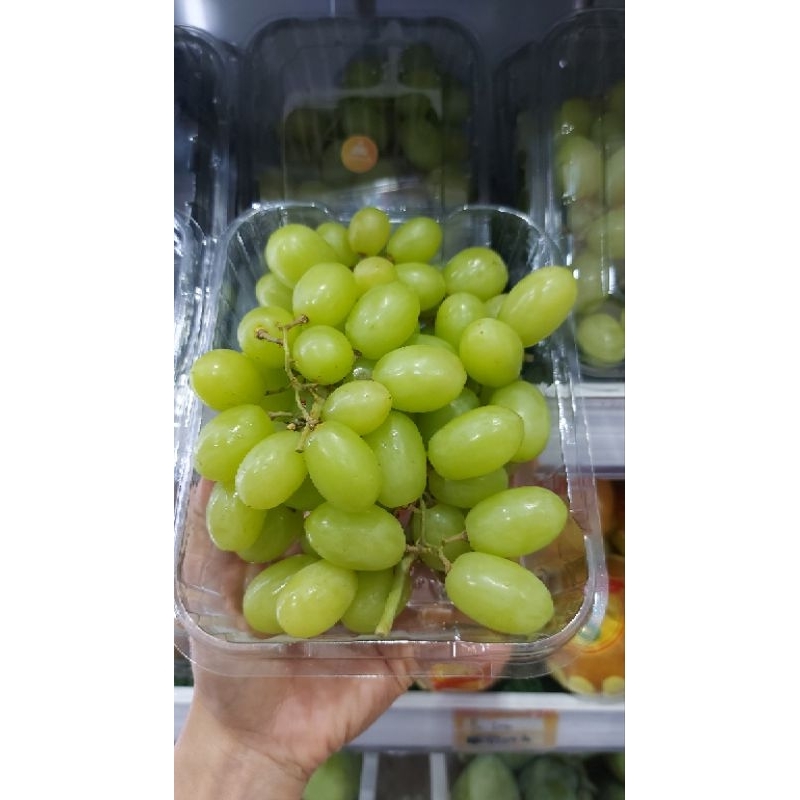 

Anggur Hijau Autumn Crispy