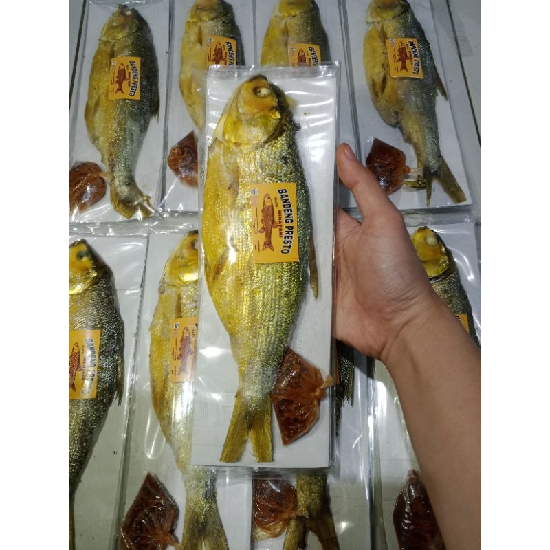 

BANDENG PRESTO BESAR (Berat mentah 200-250gr)