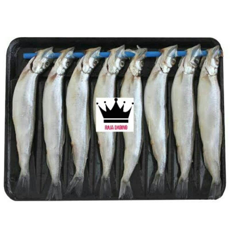 

Ikan Shisamo