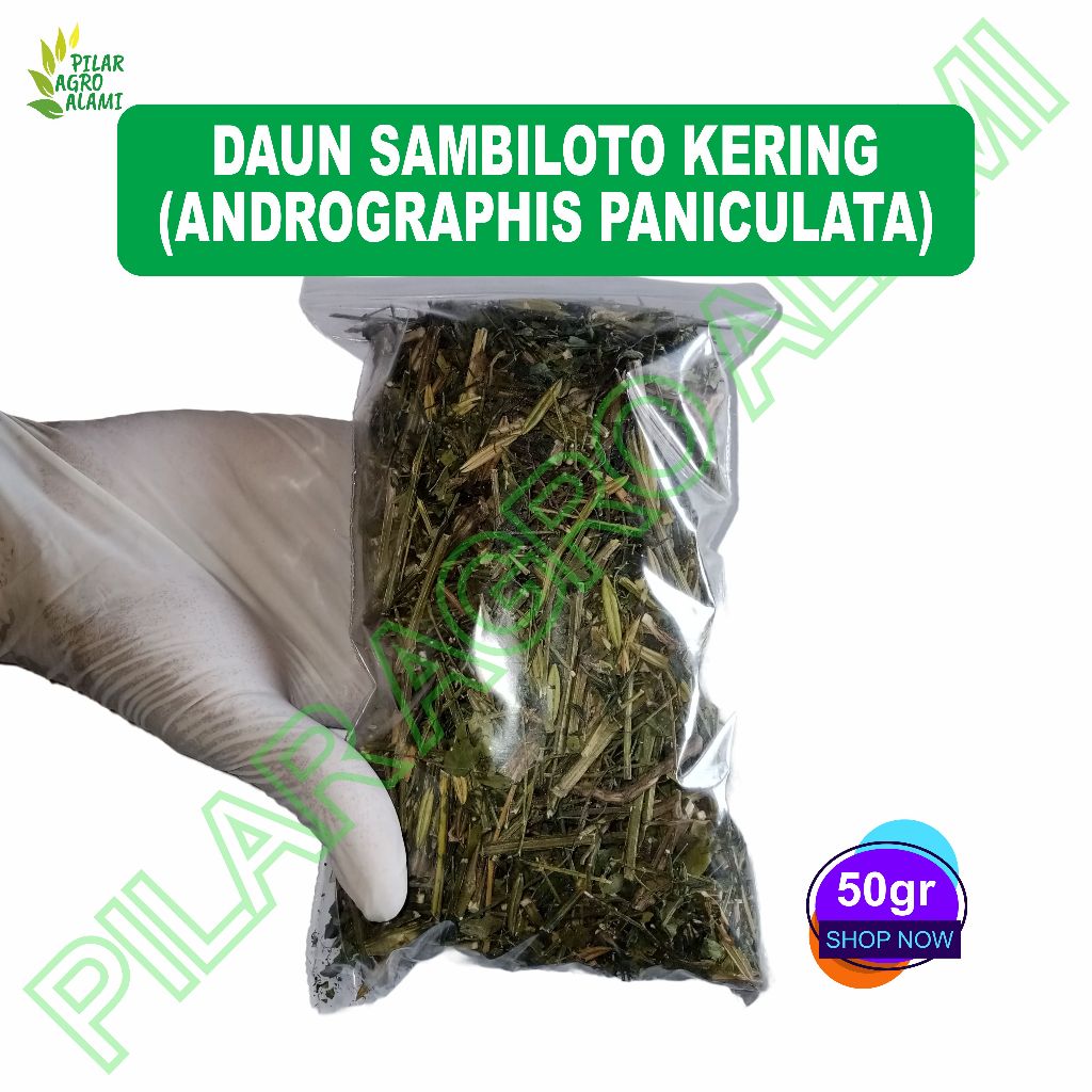 

Sambiloto kering asli 50gr sudah dicacah
