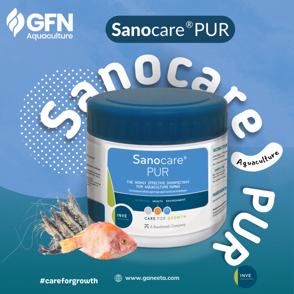INVE Sanocare PUR Original Disinfektan Bakteri Virus Kolam 1kg