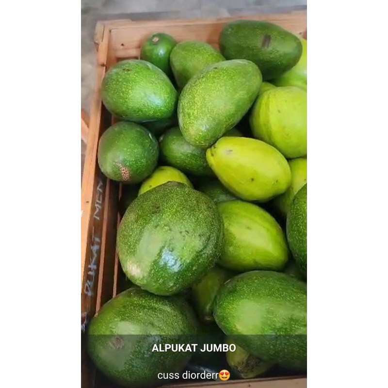 

alpukat mentega grade A/B 1kg
