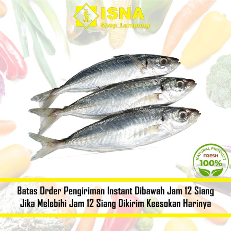 

Ikan Layang Fresh 1 kg - Sayur Fresh