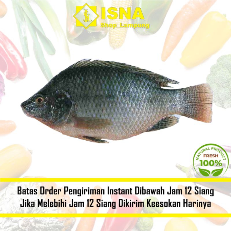 

Ikan Nila Segar Fresh 1 kg - Sayur Fresh