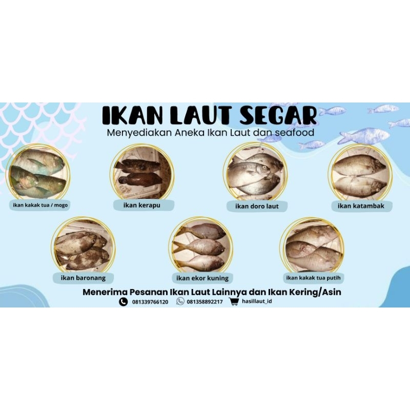

teripang | | hoisem rendam siap makan 500gr 10pcs