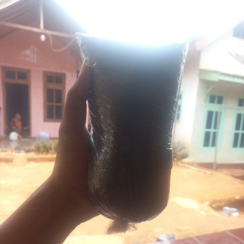 

kopi madura