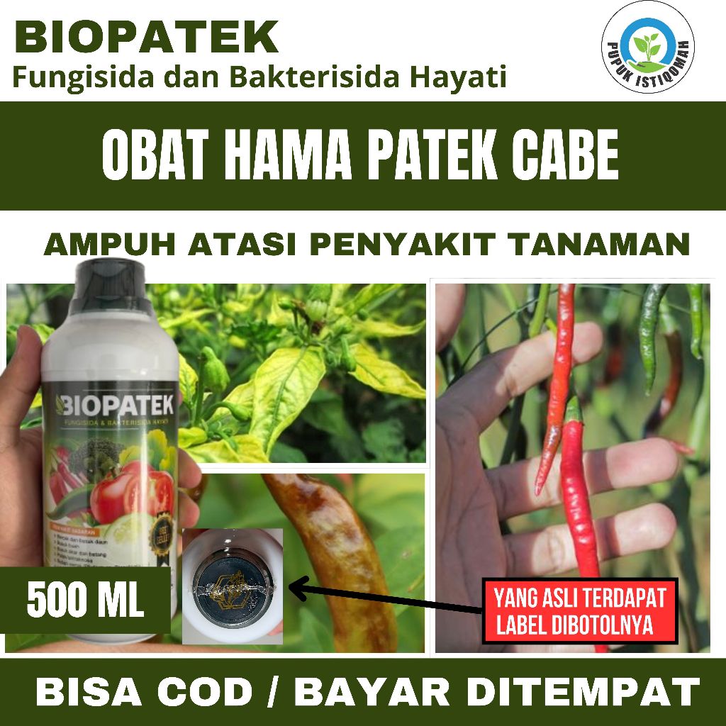 BIOPATEK Fungisida Hayati, Obat Biopatek Cabe, Obat Patek Cabe Ampuh, Obat Patek Tanaman Cabe