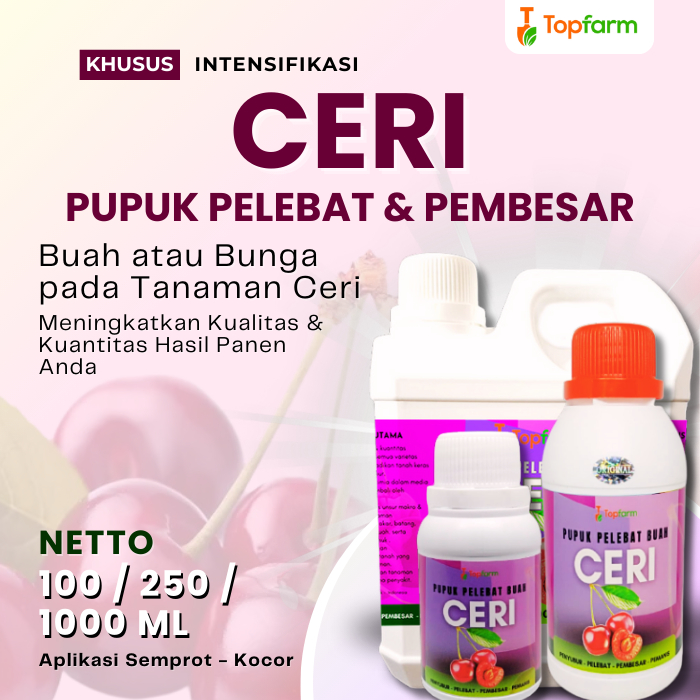 Pupuk Buah Biar Cepat Berbuah / Pupuk Pohon Ceri / Pupuk Buah Ceri / Pupuk Buah Ceri Lebat / Pupuk P