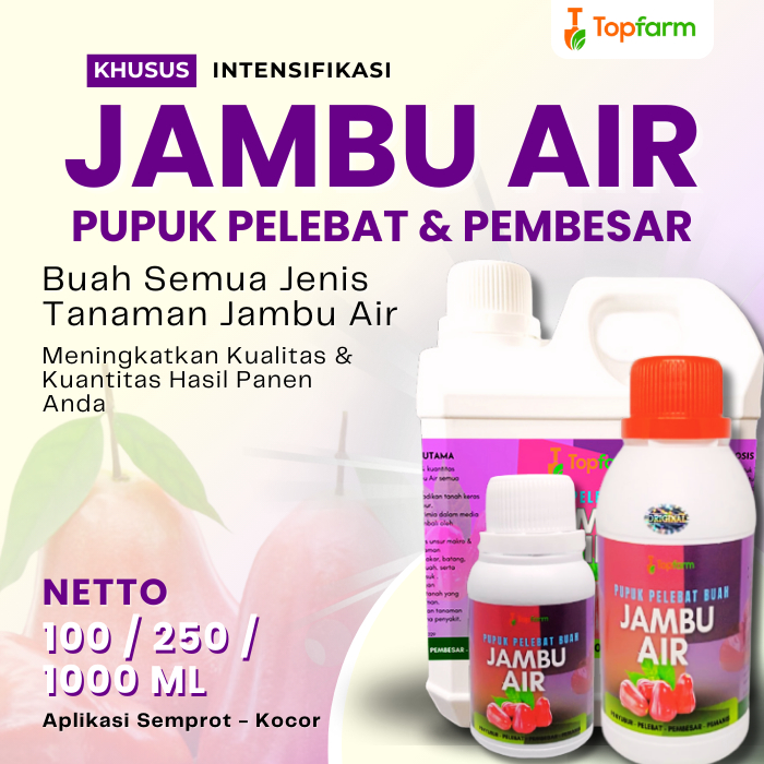 Pupuk Buah Jambu Air Super Lebat / Pupuk Buah Super Lebat Jambu Air / Pupuk Buah Jambu Air Cepat Ber