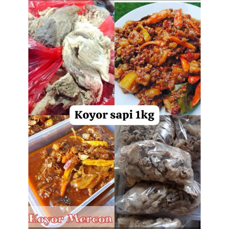 

KOYOR FROZEN FOOD