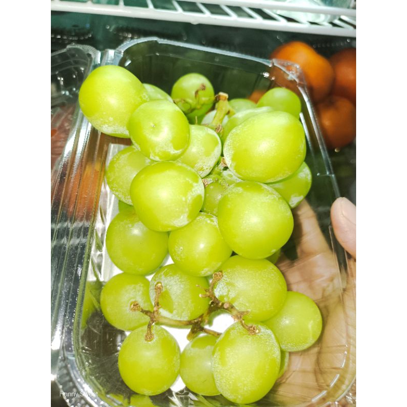 

Anggur Shine Muscat Hijau