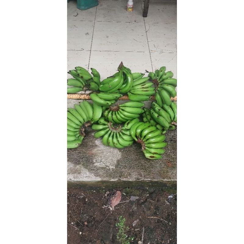 

PISANG ULI TUA/PISANG JANTEN_10_KG(1 TANDAN)