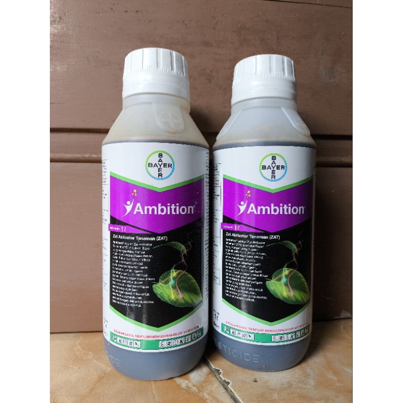 ambition 1L  (Bayer)