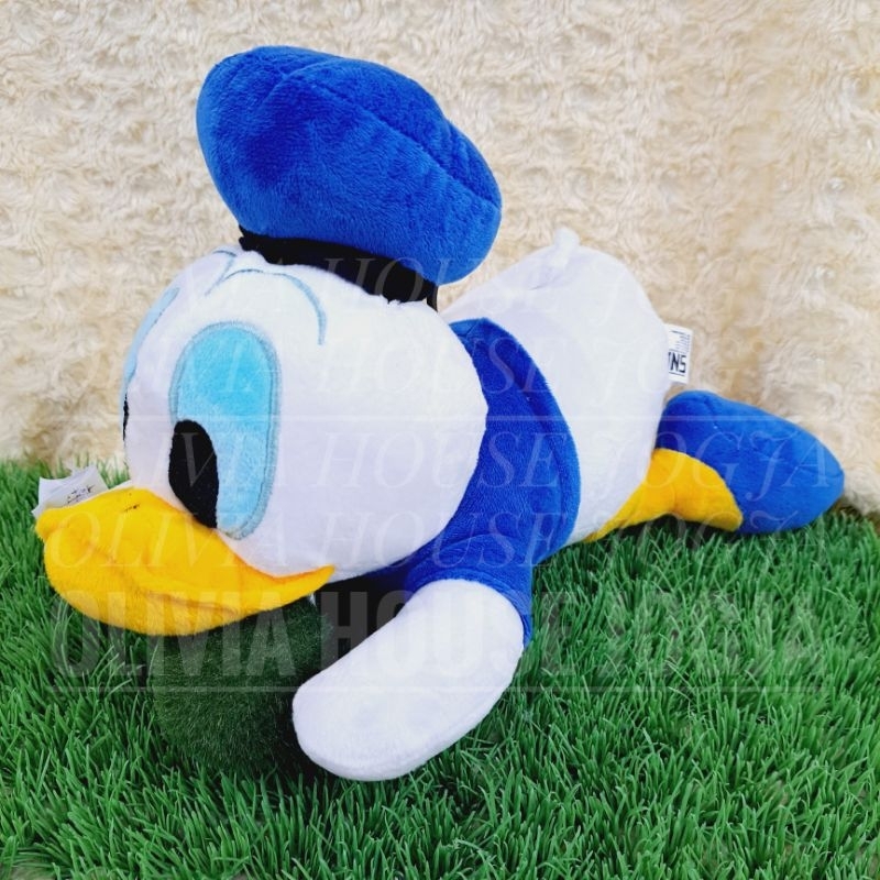Boneka Bebek Topi Biru Boneka Duck Baju Biru Boneka Donald Tiduran