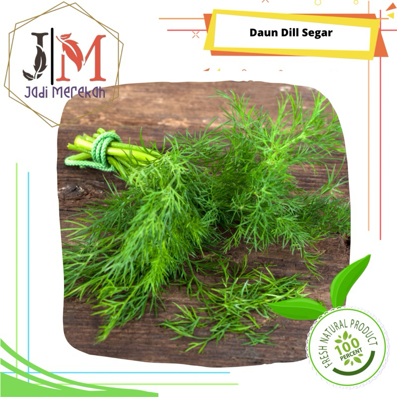 

[JM SoFresh] Daun Dill Segar Per Ikat