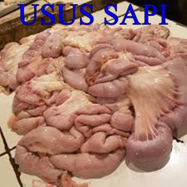 

Diskon 3 Produk Terbatas USUS SAPI 5 gram