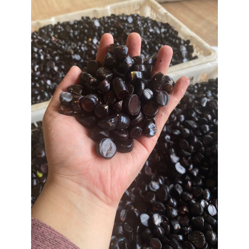 

Kabau atau Jolang Jaling Aseli Sumatra 300gram