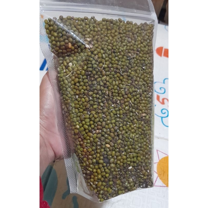 

kacang hijau